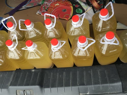 五一假期欢乐多,品襄阳正宗特产98k纯粮食老黄酒,游南漳八家湾生态农家庄园