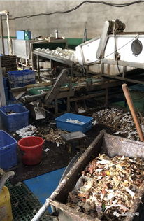 食物残渣堆车间,脏手套擦杯盘 这家厂每天两万多套餐具销往京冀