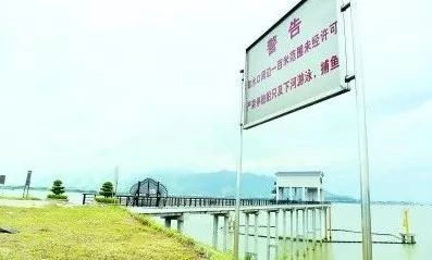 预扣预缴 新个税法元旦起全面实施 调查显示七成大学生失眠 有你吗 听佛山