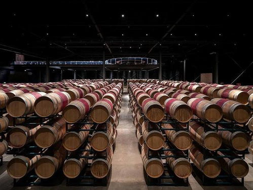 开启中国精品葡萄酒新纪元,国牌酒庄春节市场表现极速上升