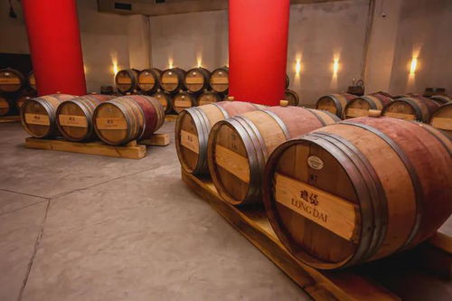 珑岱酒庄游学之旅即将开启 精品葡萄酒市场研讨会 大师班课程